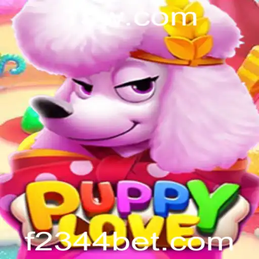 2344bet Casino App